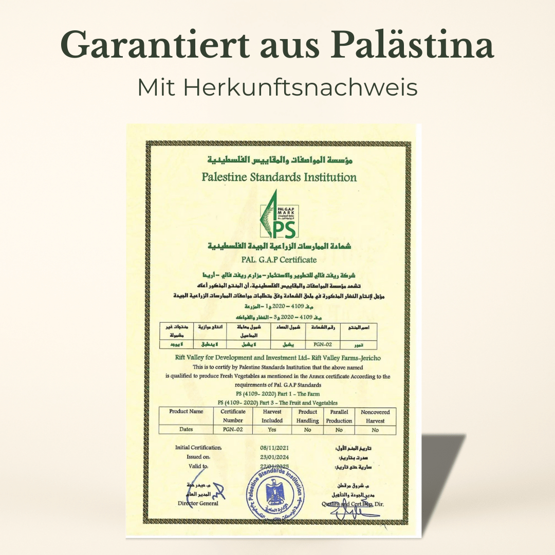 Bio Medjool Datteln aus Palästina - Frische Ernte, Natursüß Bio Medjool Datteln aus Palästina - Frische Ernte, Natursüß