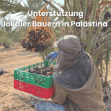 Bio Medjool Datteln aus Palästina - Frische Ernte, Natursüß Bio Medjool Datteln aus Palästina - Frische Ernte, Natursüß