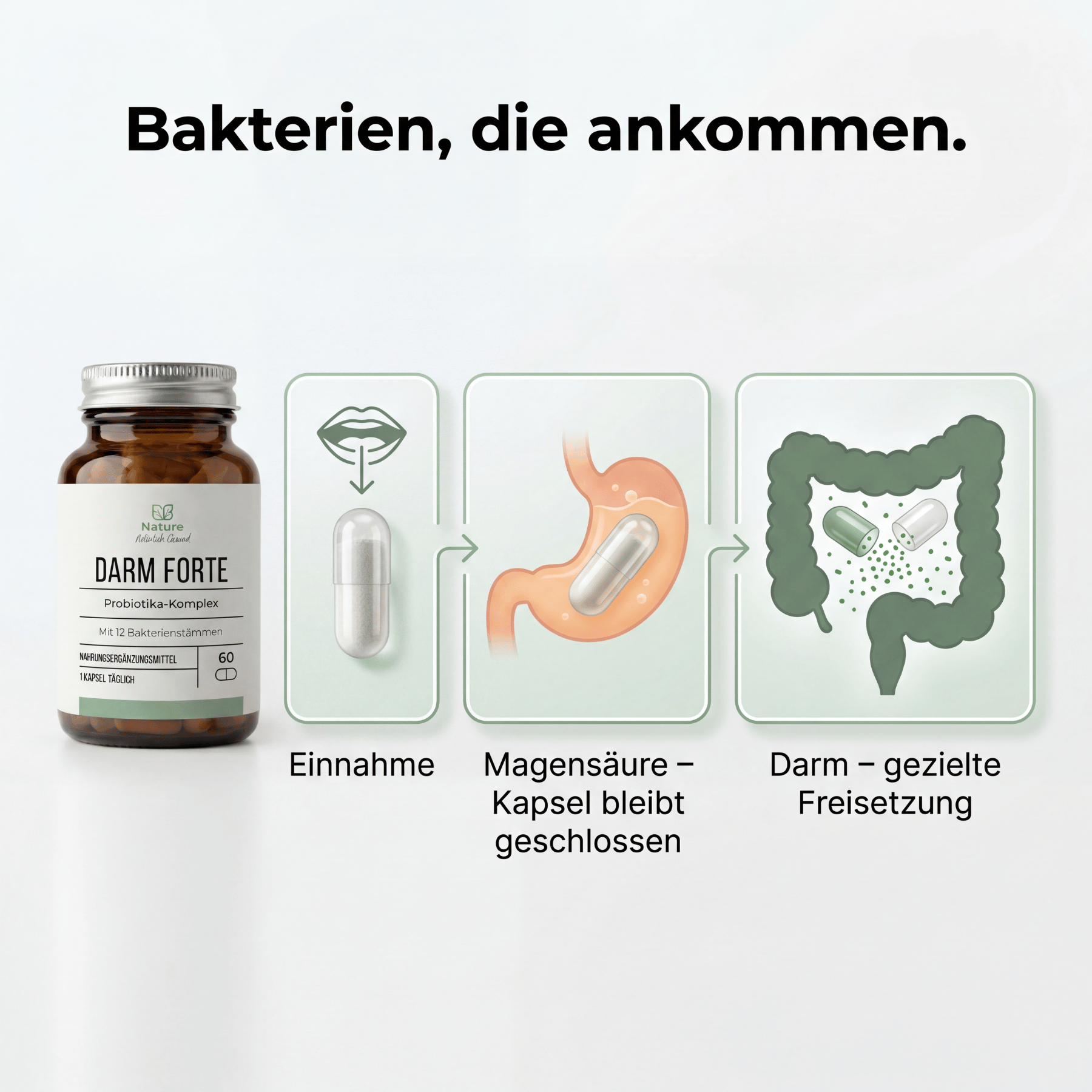 Probiotische Darmbakterien Kapseln