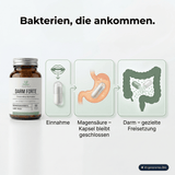 Bakterienkulturen Komplex (Probiotika)