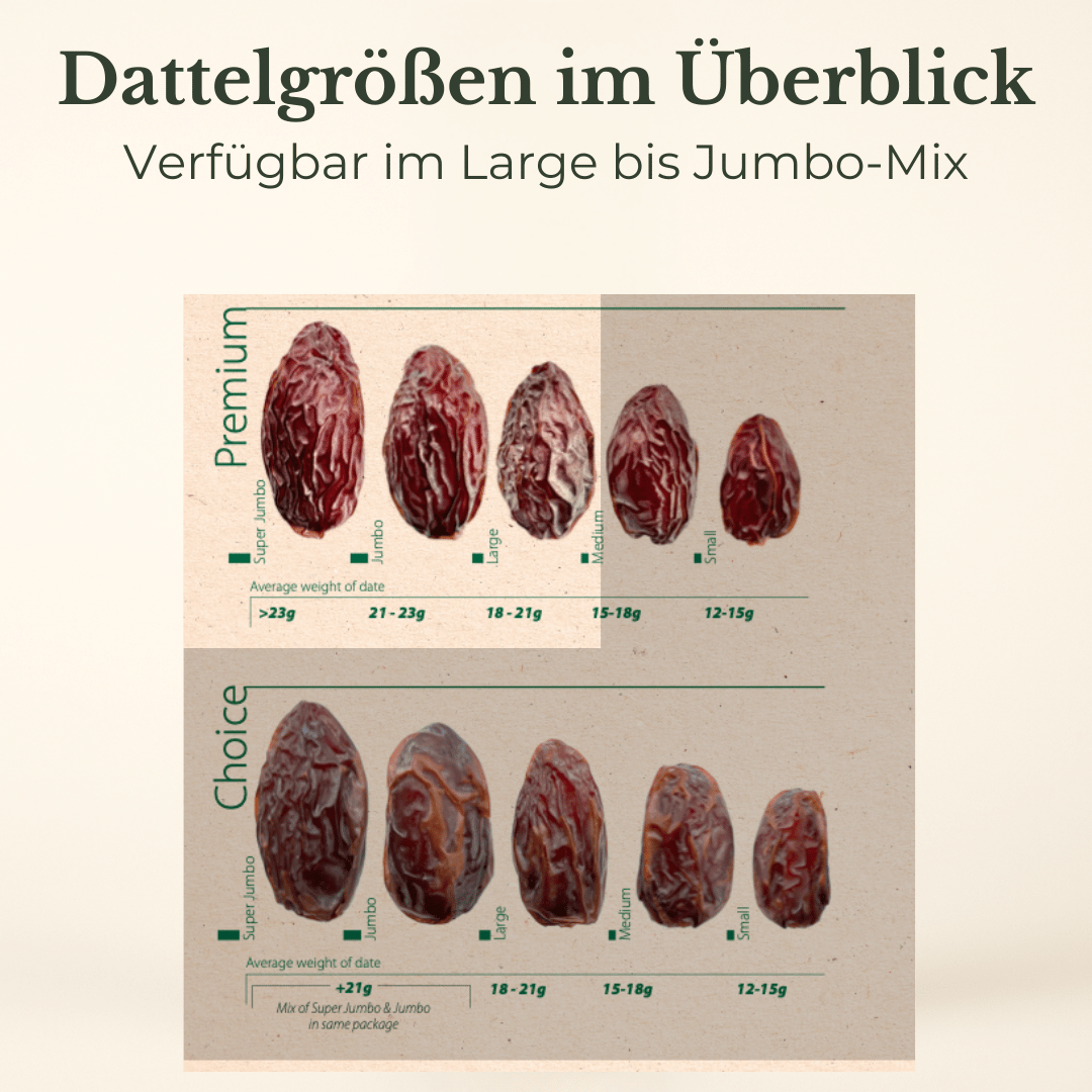 Medjool Datteln aus Palästina L–Jumbo - extra weich & fleischig