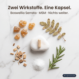 Boswellia (Weihrauch) Komplex