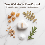 Boswellia (Weihrauch) Komplex