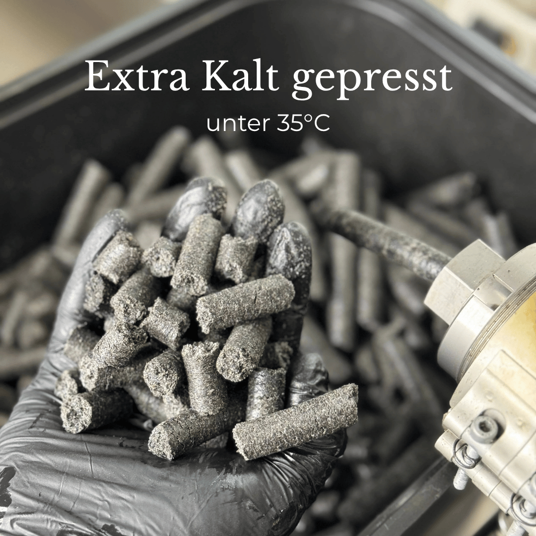 Schwarzkümmelöl Äthiopisch Ungefiltert & Kaltgepresst