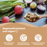 Probiotische Darmbakterien Kapseln