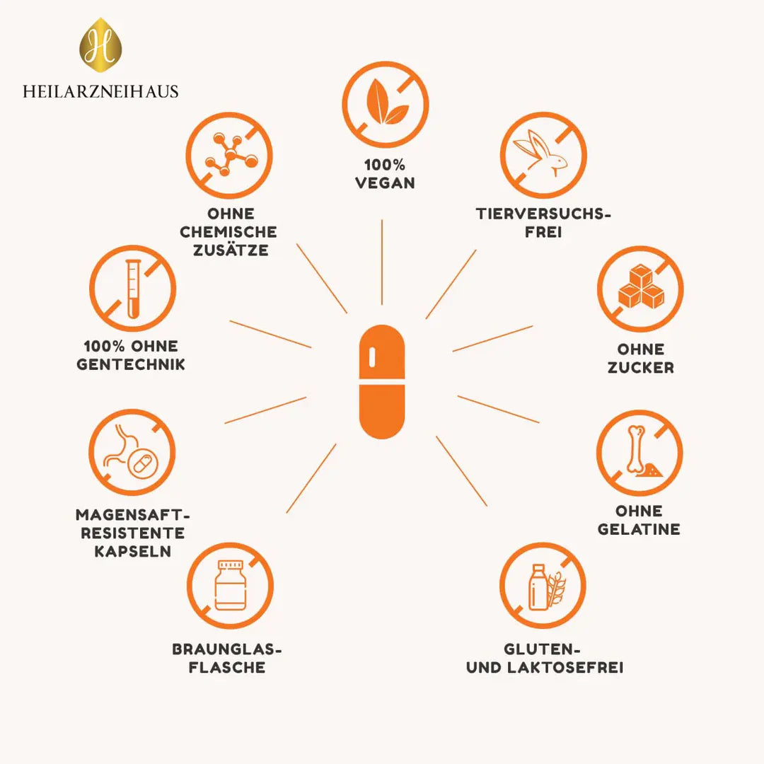 Multivitamin + Multimineral Kapseln