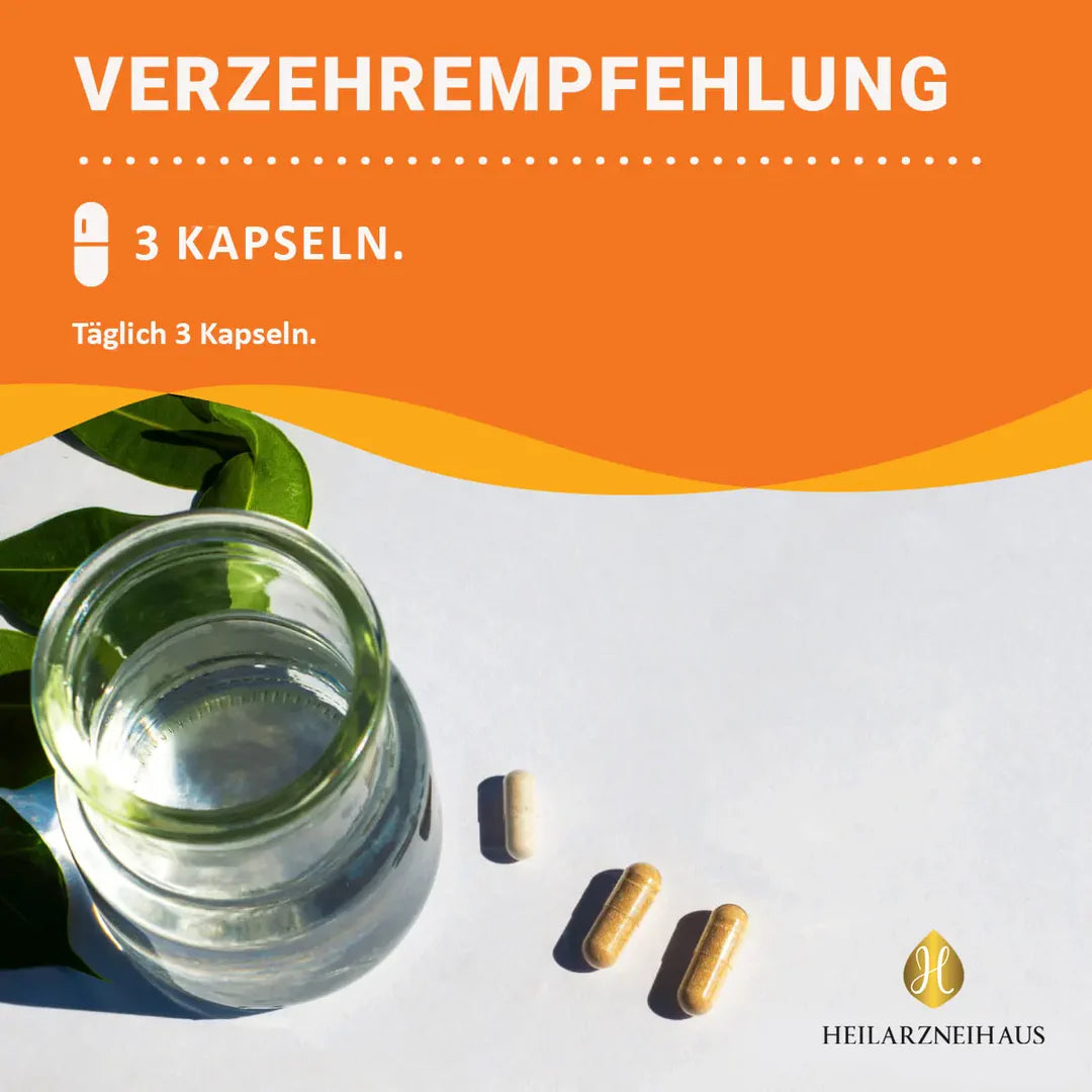 Multivitamin + Multimineral Kapseln