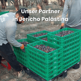 Medjool Datteln aus Palästina L–Jumbo - extra weich & fleischig