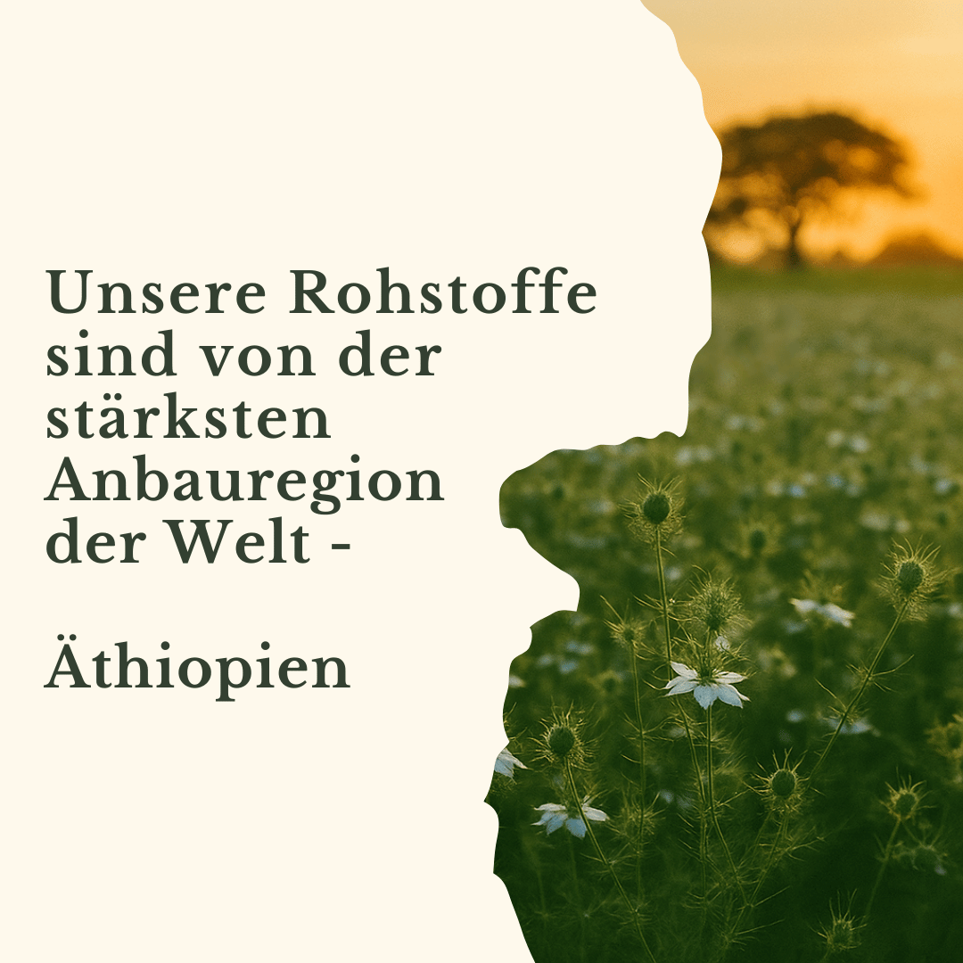 Schwarzkümmelöl Äthiopisch Ungefiltert & Kaltgepresst