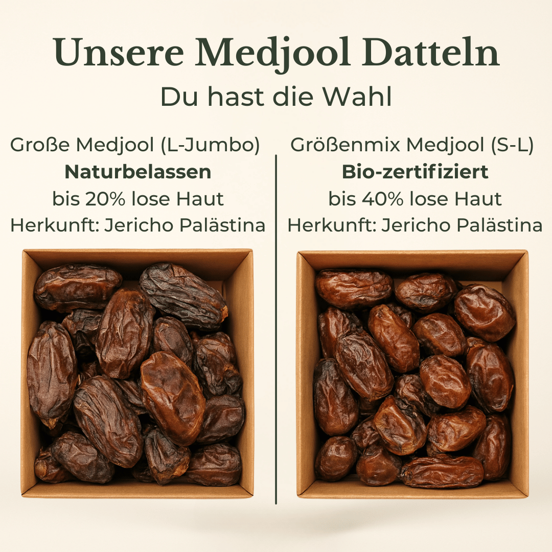 Medjool Datteln aus Palästina L–Jumbo - extra weich & fleischig