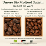 Bio Medjool Datteln aus Palästina