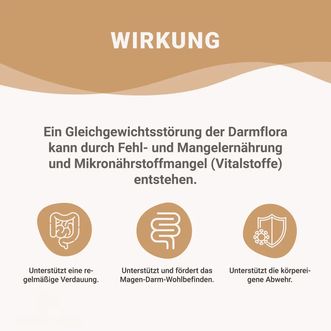 Verdauungs Set