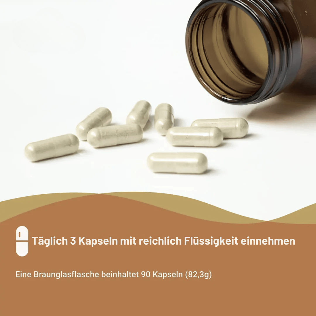 Vitalität 50+ Set