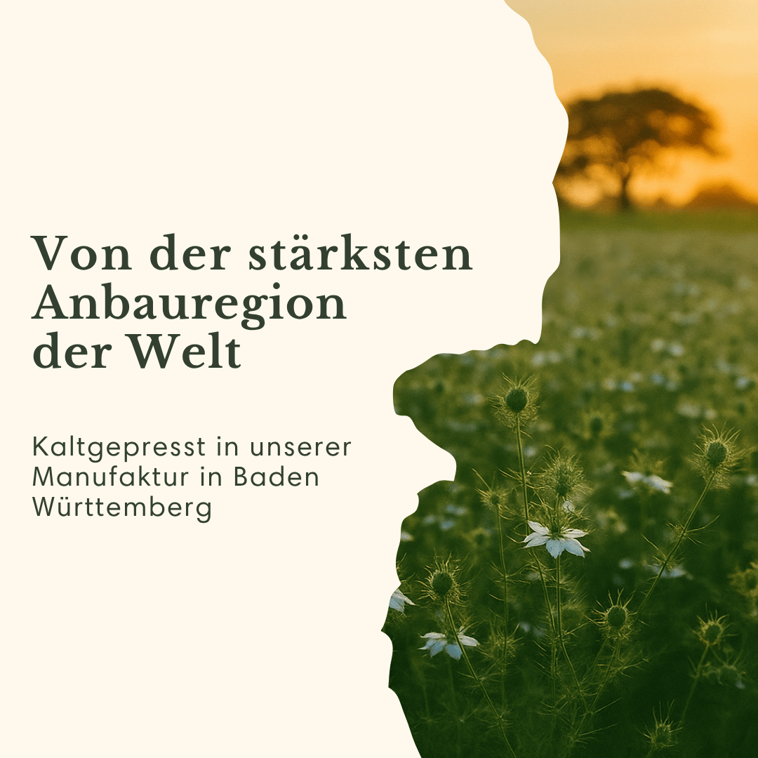Schwarzkümmelöl Äthiopisch Ungefiltert & Kaltgepresst